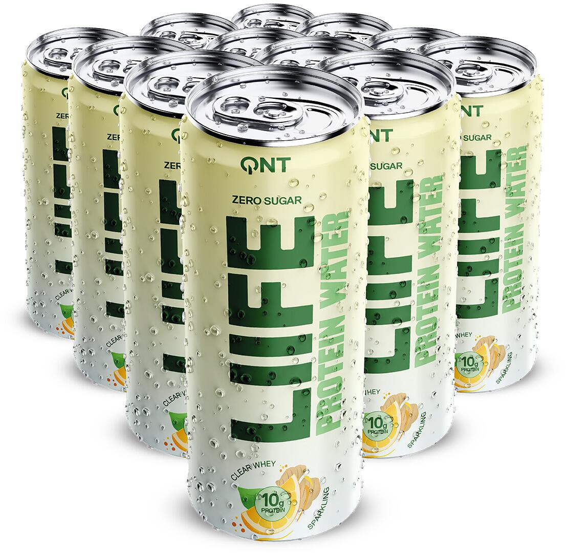 QNT Sparkling Protein Water, 12 x 330 ml Dosen (inkl. 3,- Euro Pfand), Lemon & Ginger