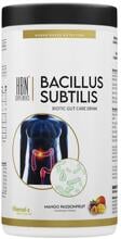 HBN Supplements Bacillus Subtilis Biotic Gut Care Drink, 600 g Dose