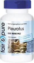 fair & pure Pleurotus (650 mg), 120 Kapseln Dose