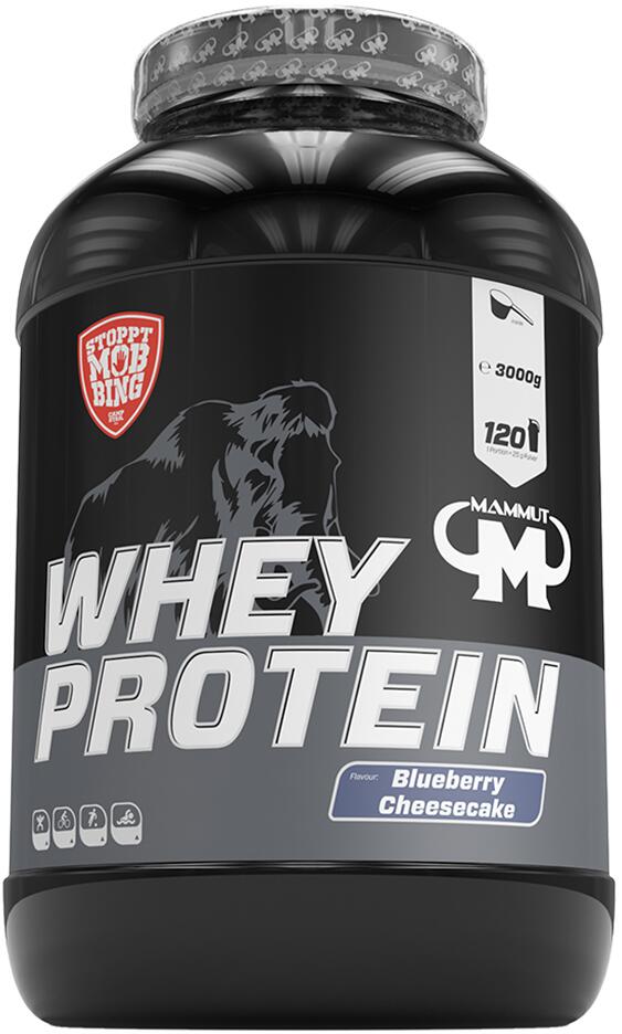 Best Body Mammut Whey Protein, 3000 g Dose, Blueberry Cheesecake