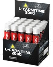 is acetyl l carnitine the same as nac L-Carnitin online kaufen main image 1