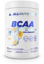 Allnutrition BCAA Instant Max Support, 500 g Dose