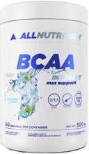 Allnutrition BCAA Instant Max Support, 500 g Dose