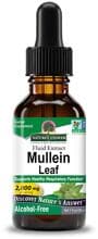 Natures Answer Mullein - 2000 mg, 30 ml Flüssigextrakt