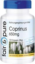fair & pure Coprinus (650 mg), 120 Kapseln Dose