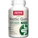 Jarrow Formulas Mastic Gum - 1000 mg