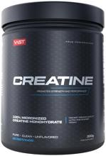 VAST Sports Creatine Ultra Pure, 300 g Dose, Unflavored
