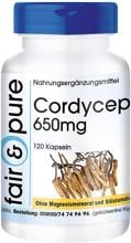 fair & pure Cordyceps (650 mg), 120 Kapseln Dose