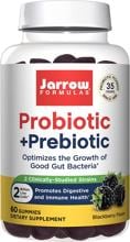 Jarrow Formulas Probiotic + Prebiotic, 60 Gummies, Blackberry