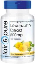 fair & pure Löwenzahn-Extrakt (500 mg), 120 Kapseln Dose