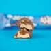 Wispy Protein Bar, 10 x 55 g Riegel
