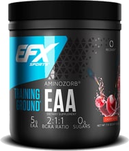 EFX Sports Training Ground EAA, 213 g Dose