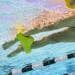 Finis Ankle Buoy Knöchelboje für wettbewerbsfähiges Schwimmtraining, M, gelb