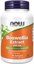 Now Foods Boswellia Extract 500 mg, 90 Softgels