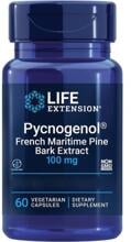 Life Extension Pycnogenol 100 mg, 60 vegetarische Kapseln