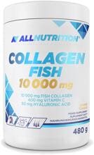 Allnutrition Collagen Fish 10.000 mg, 480 g Dose