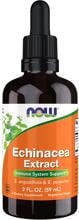 NOW Foods Echinacea Extract, 59 ml Flasche