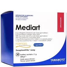 Yamamoto Nutrition Mediart, 30 x 11 g Beutel, Peach-Lemon