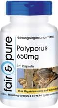 fair & pure Polyporus (650 mg), 120 Kapseln Dose