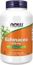Now Foods Echinacea 400 mg, 250 Kapseln