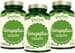 GreenFood Nutrition Serrapeptase