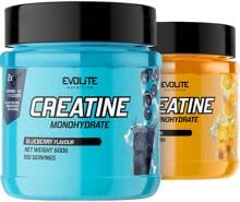 Evolite Creatine Monohydrat, 500 g Dose
