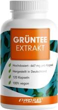 ProFuel Grüntee-Extrakt, 120 Kapseln