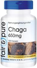 fair & pure Chaga (650 mg), 120 Kapseln Dose