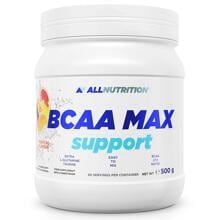 Allnutrition BCAA Max Support, 500 g Dose